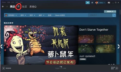 dota2国服启动项怎么设置