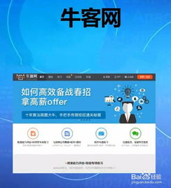 初学者如何通过在线课程学习编程