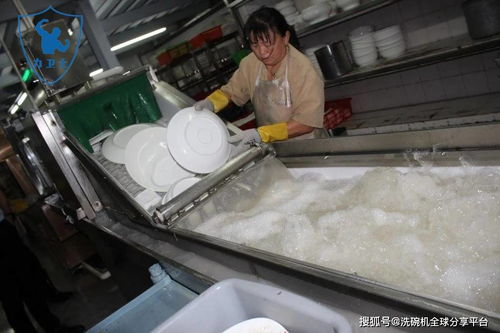 洗碗机维护与保养：确保设备长期稳定运行