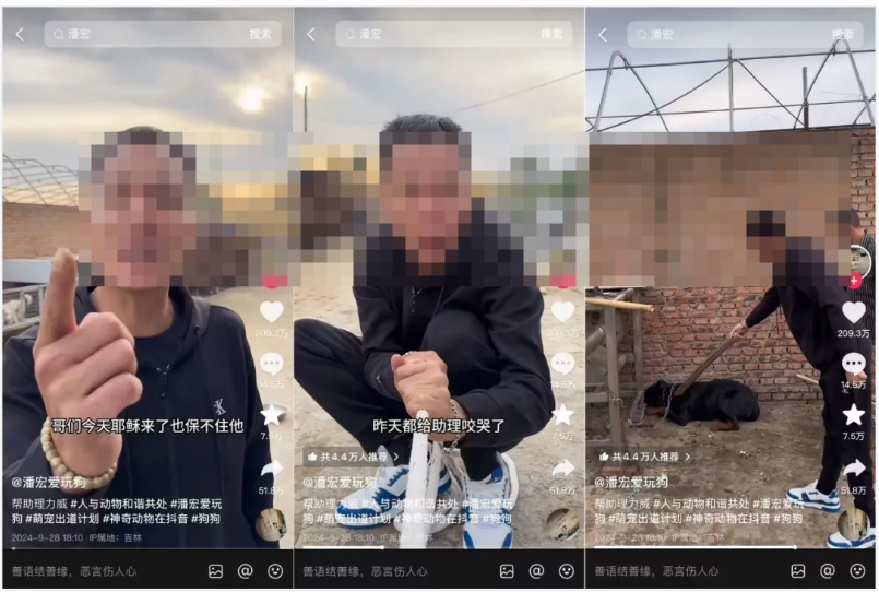 咆哮式训狗吸粉1250万，宠物赛道变天了？