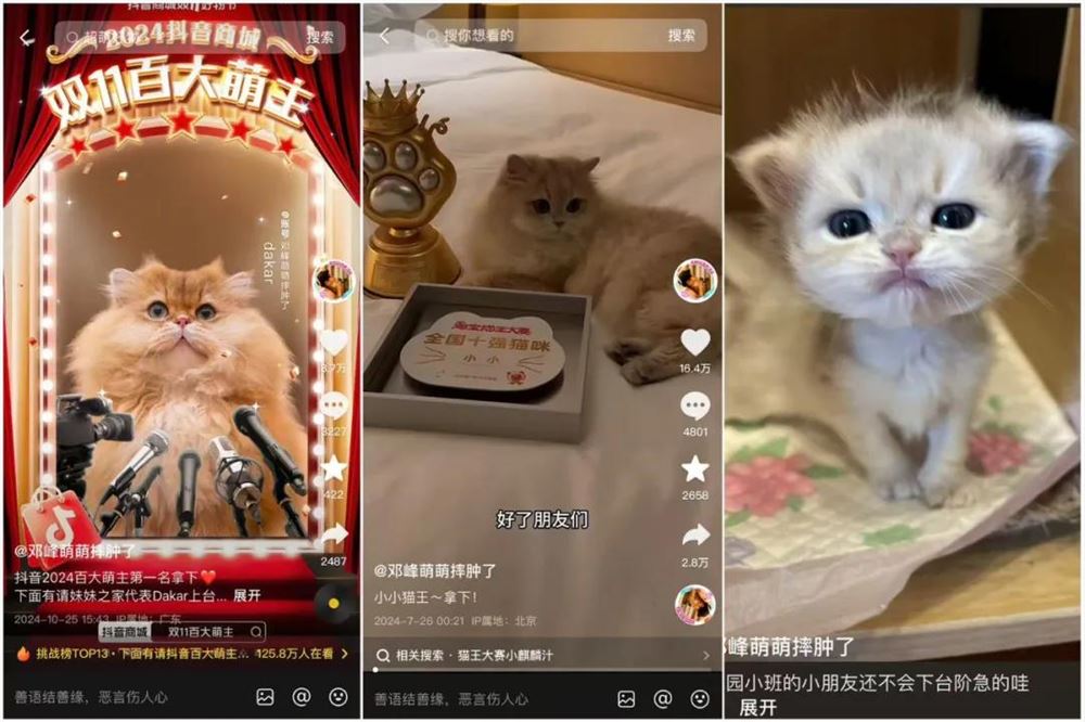 咆哮式训狗吸粉1250万，宠物赛道变天了？