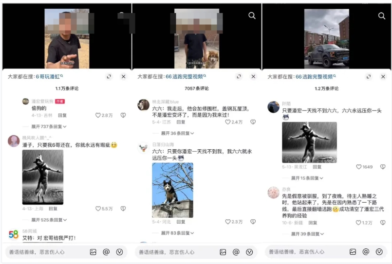 咆哮式训狗吸粉1250万，宠物赛道变天了？