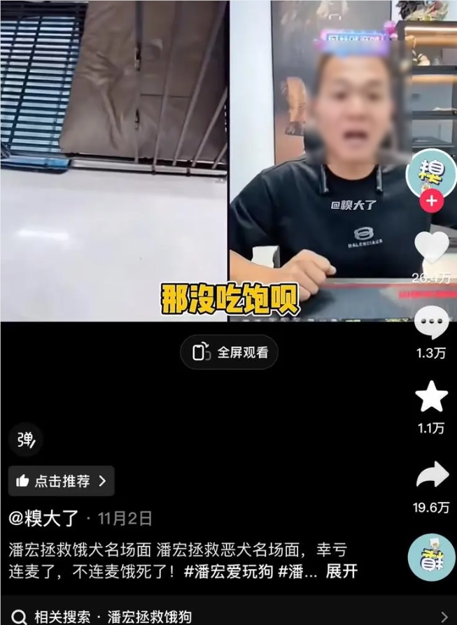 抽象是短视频在2024的最大主题
