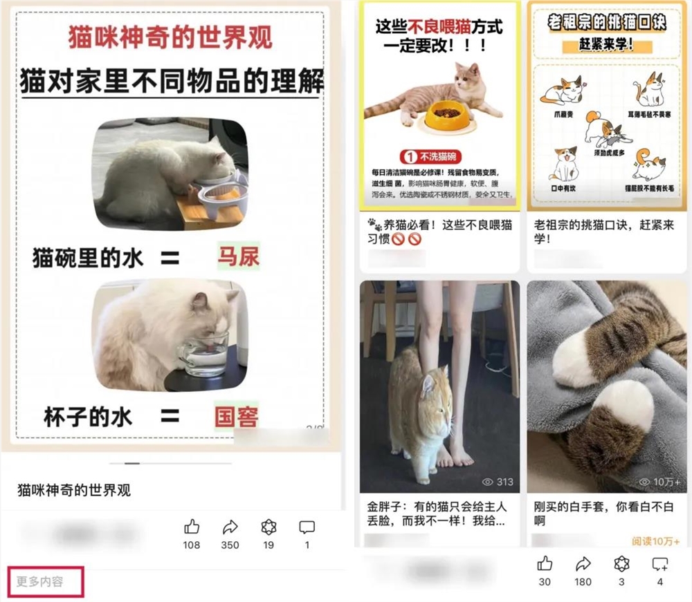 老匡：「小绿书带货」从0-1全套攻略！免费！（外面都是卖钱的）