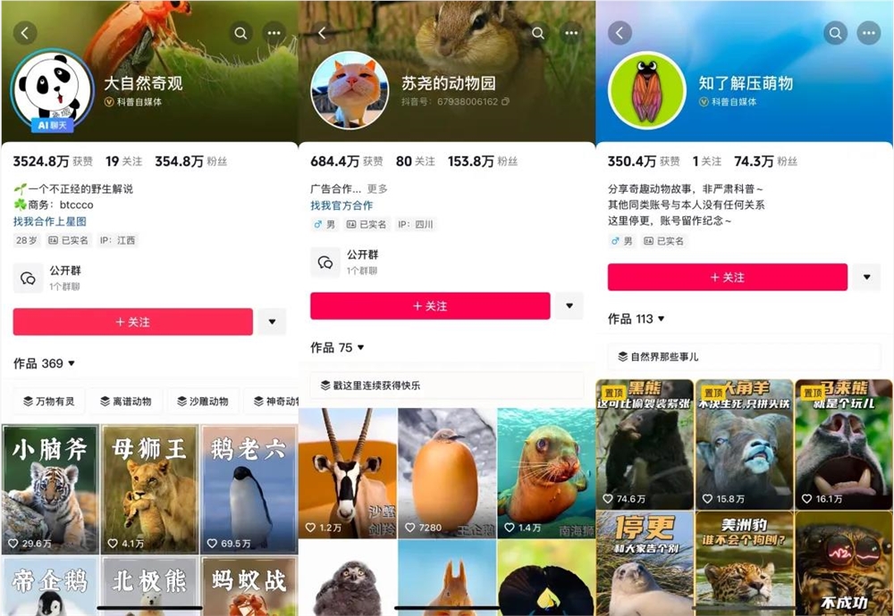 揭秘@维C动物园：一年涨粉超300万，科普视频也能做出圈？|金腰带