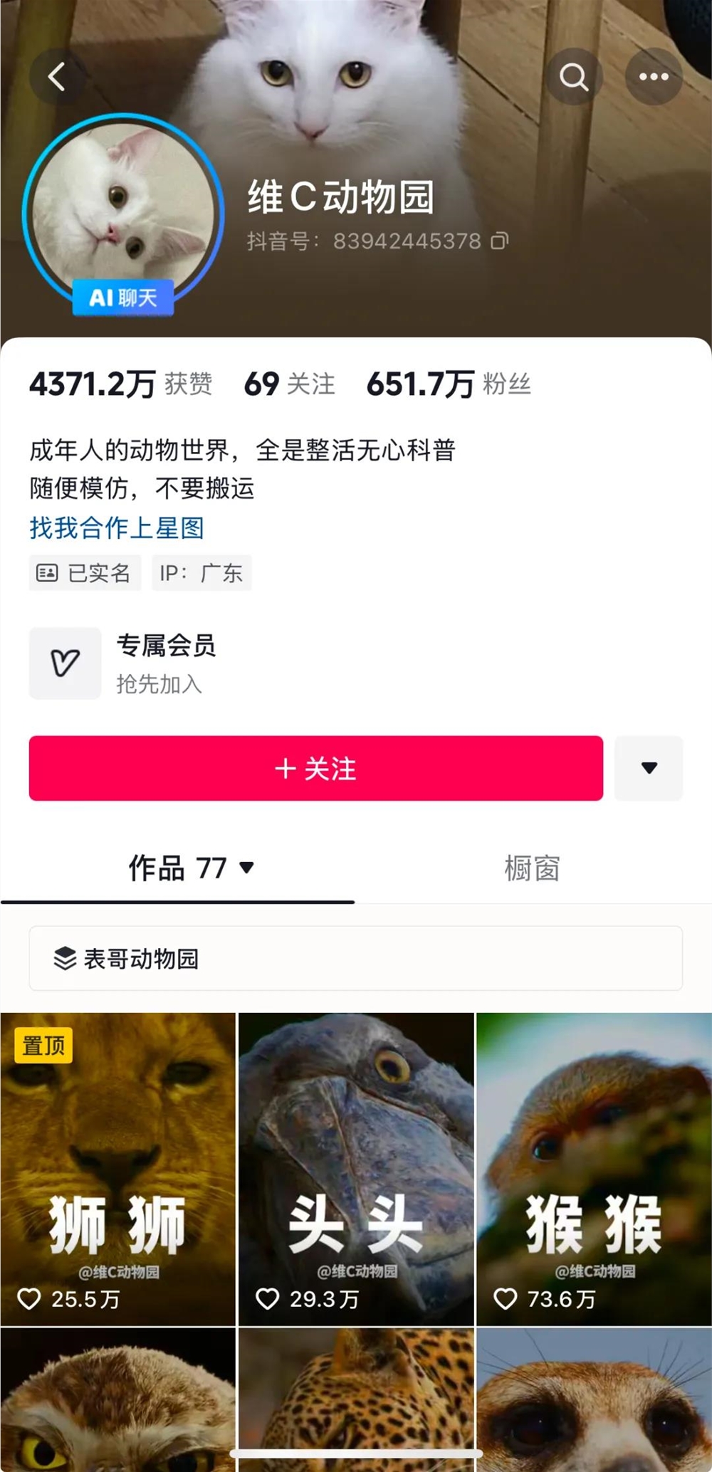 揭秘@维C动物园：一年涨粉超300万，科普视频也能做出圈？|金腰带