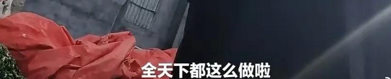 美食博主高芋芋跨界开播卖7亿，抖音从不缺新“一姐”！
