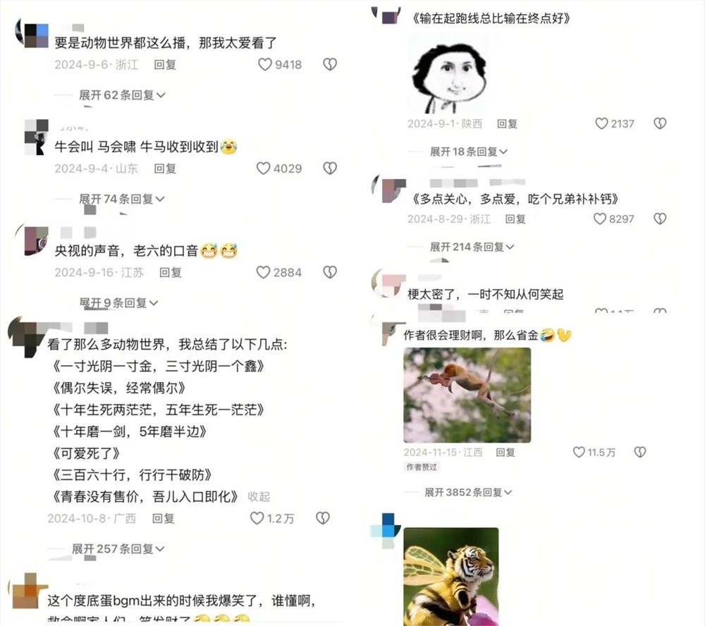 揭秘@维C动物园：一年涨粉超300万，科普视频也能做出圈？|金腰带