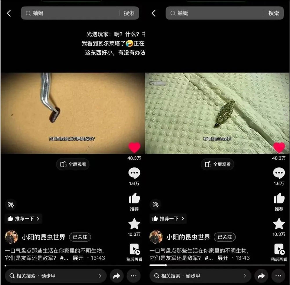 547分钟学完《犯罪心理学》、飞到南极看日落，年末这些内容在抖音精选出圈