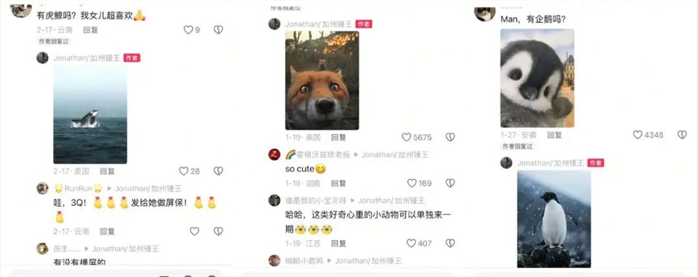 7天涨粉百万，听劝的野外摄影师“加州锤王”快把网友哄成“胚胎”了