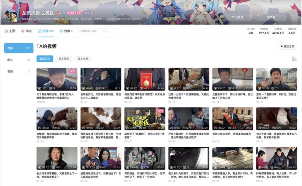 一年掏3000个牛屁股的“乡村兽医”，凭什么俘获千万粉丝？